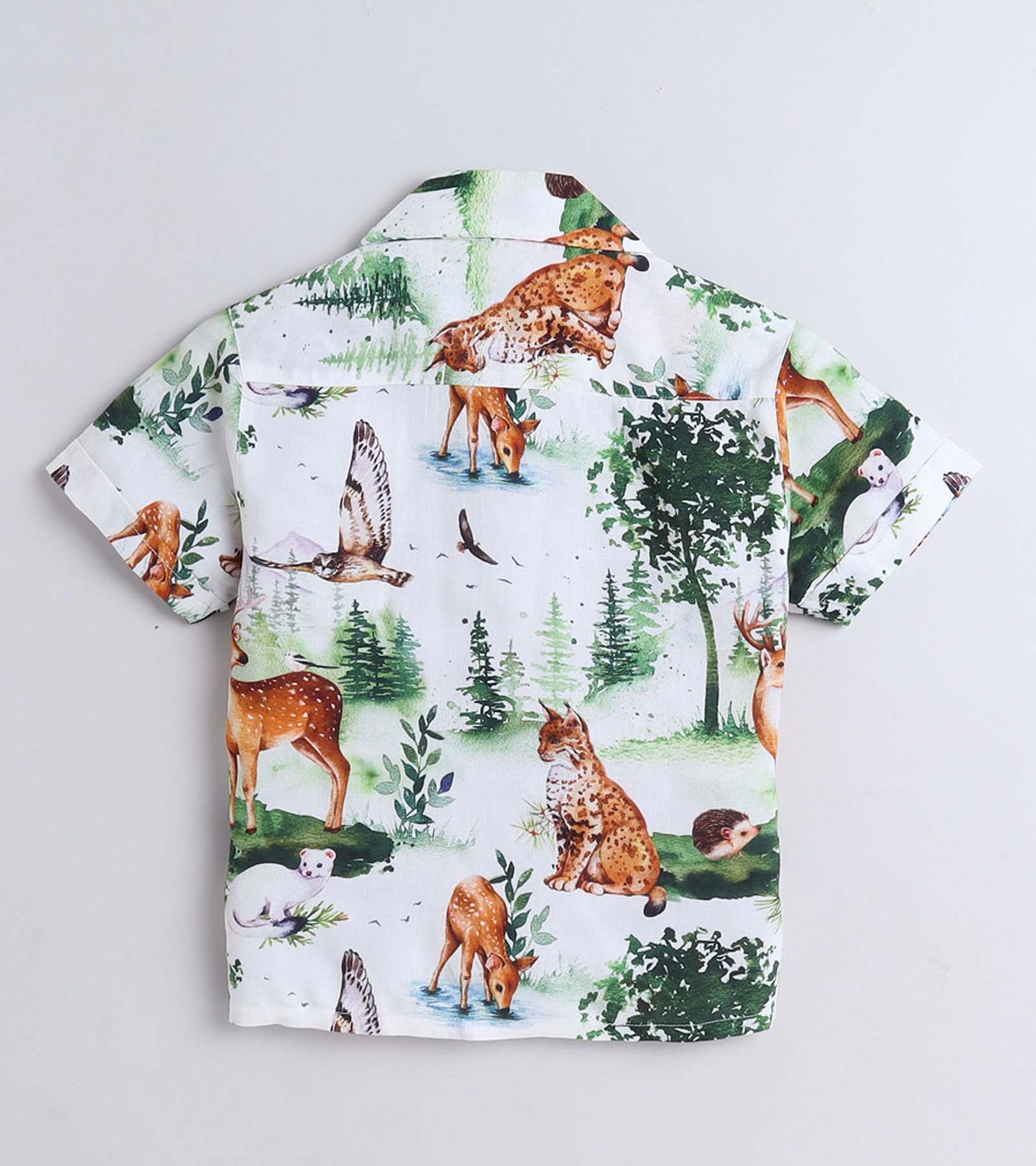 Animal Park Printed Boys Co ord Set