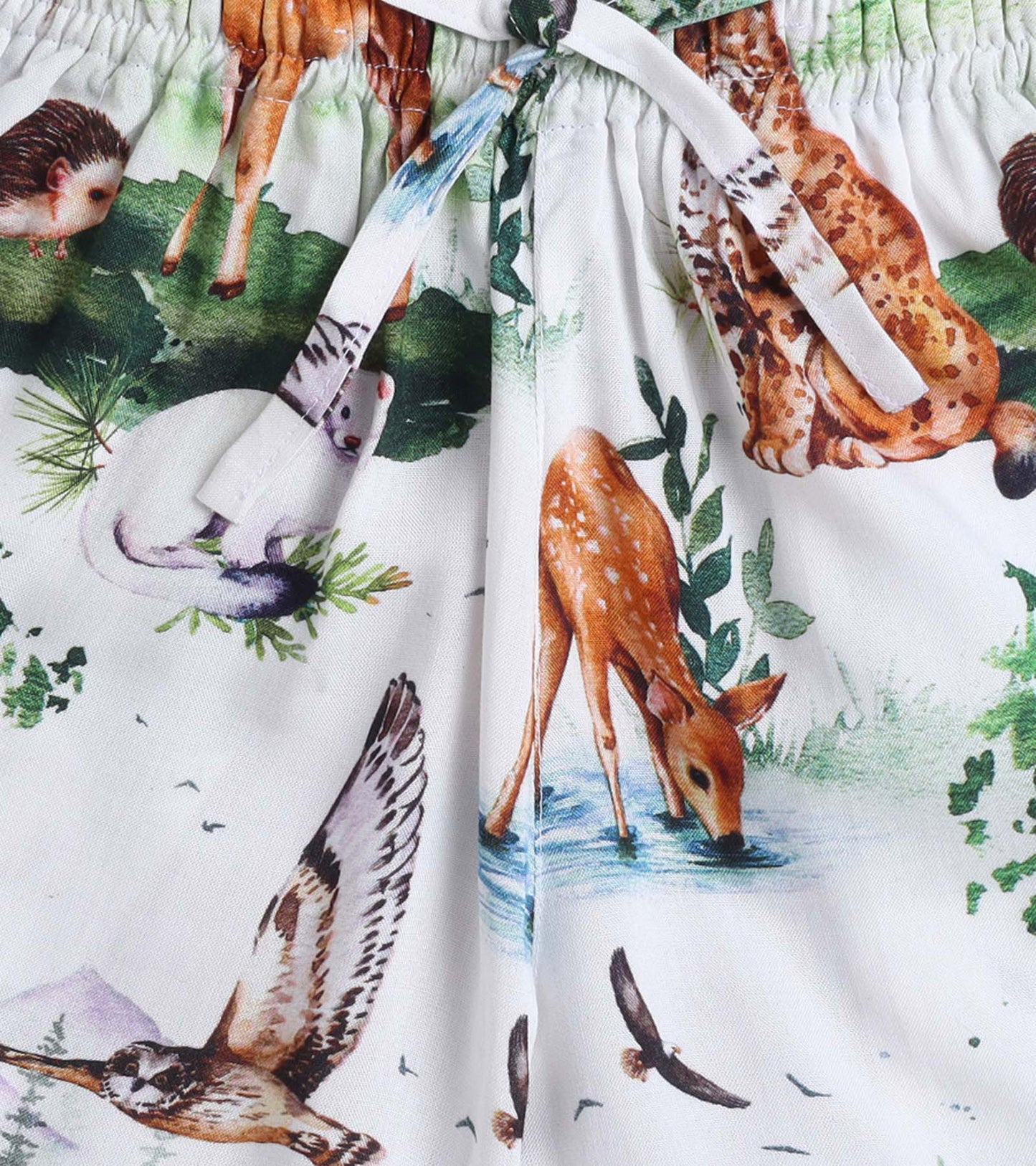 Animal Park Printed Boys Co ord Set