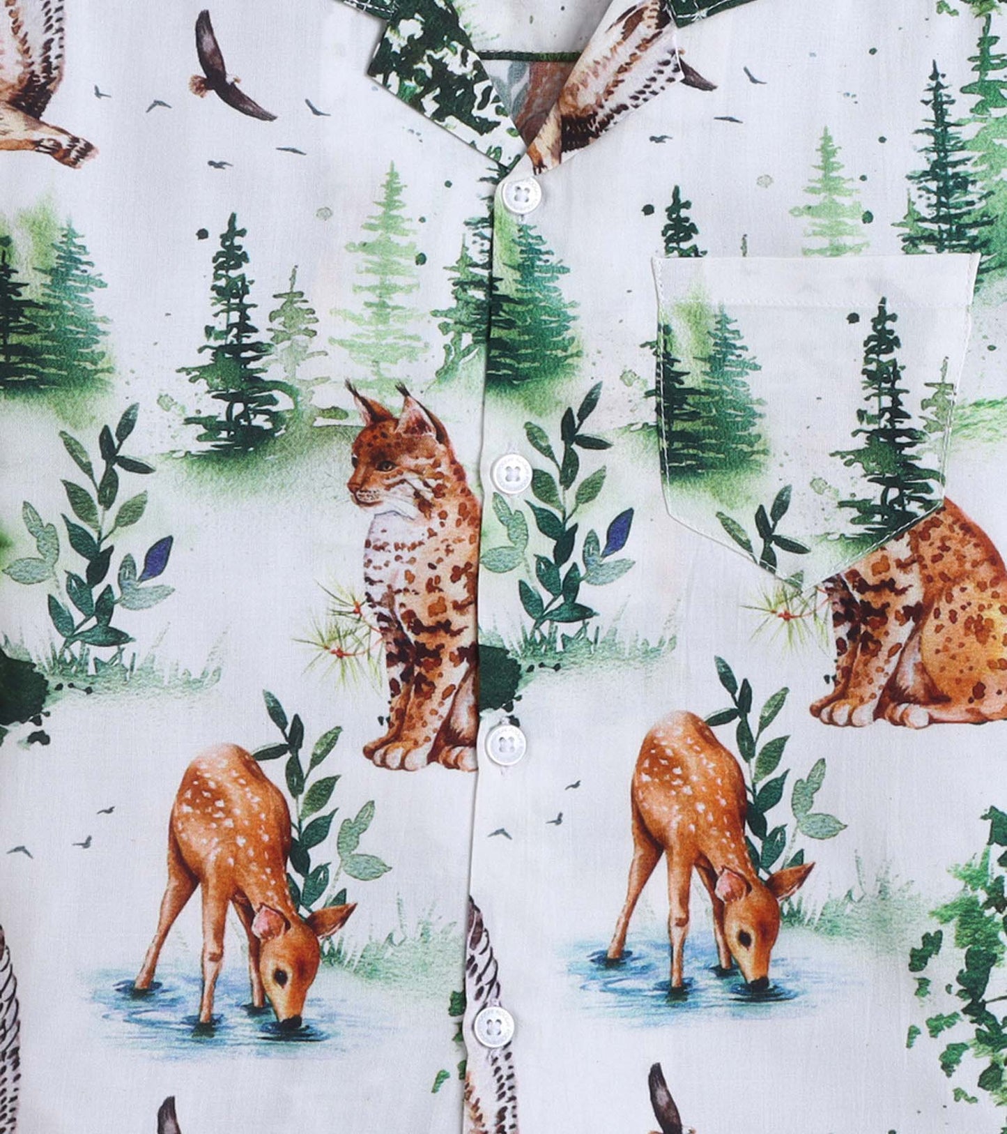 Animal Park Printed Boys Co ord Set