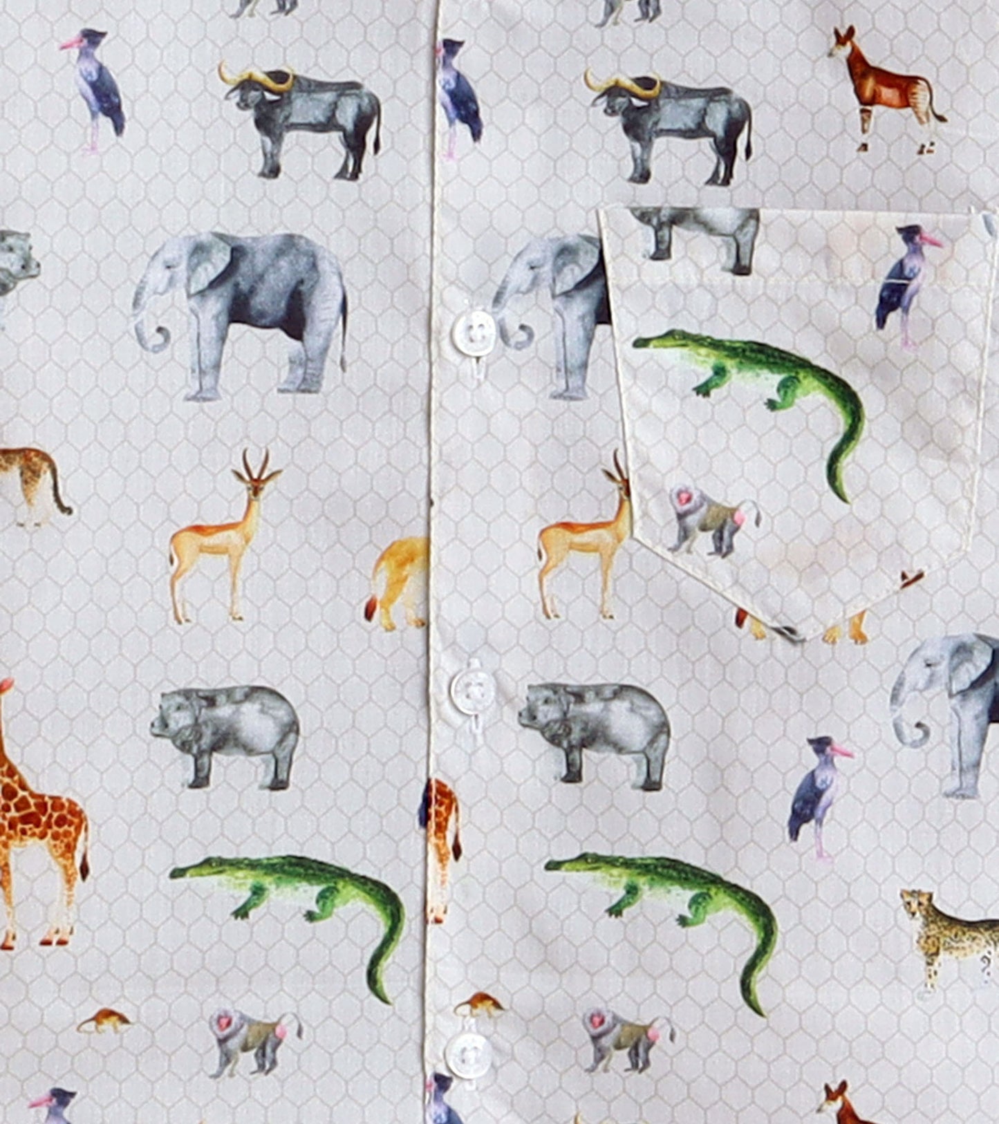 Animal Printed Boys Full Sleeve Shirt