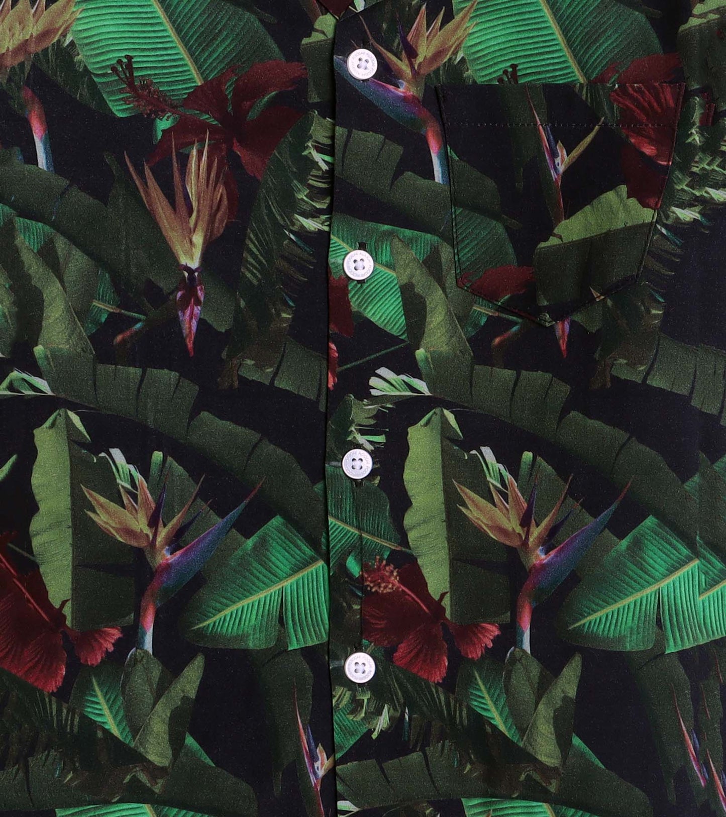 Banana Leaf Printed Boys Co ord Set