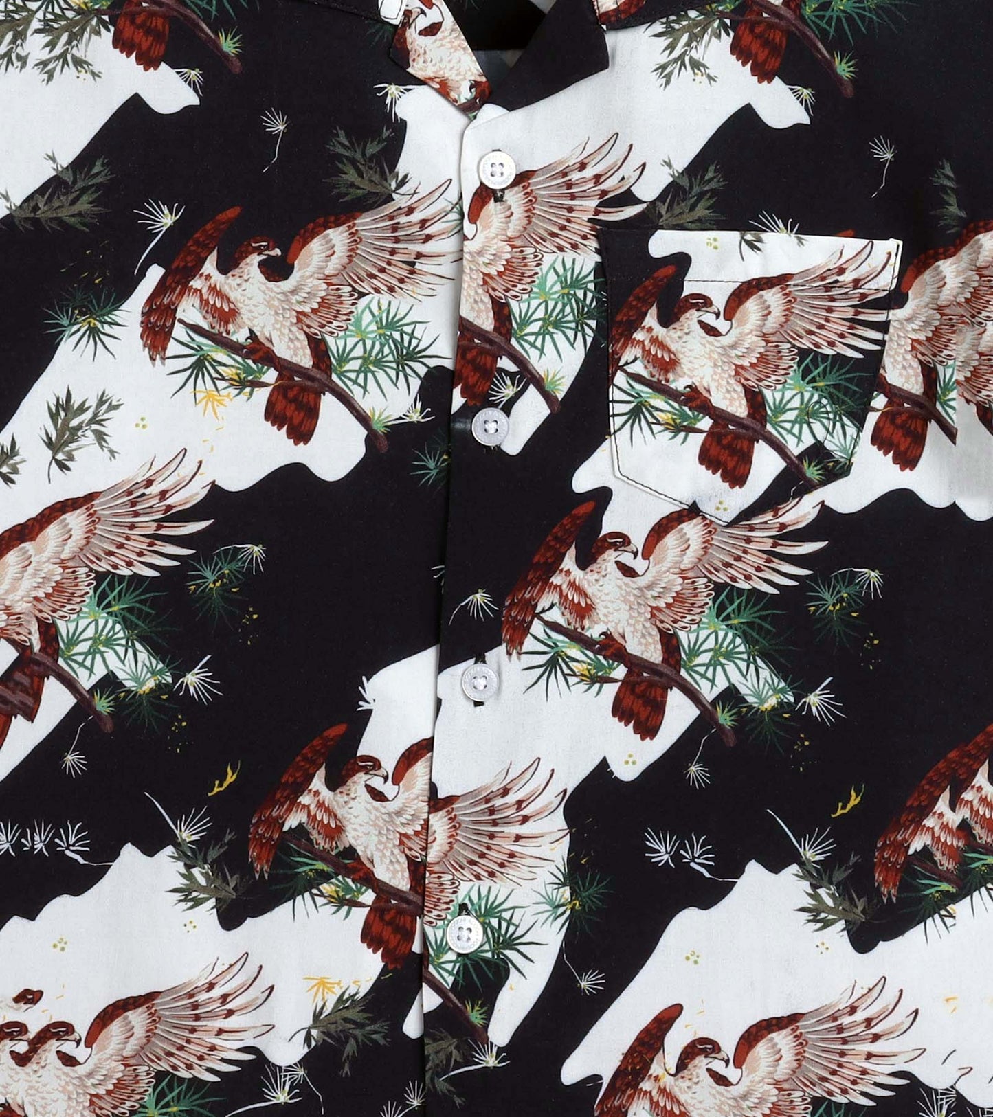 Big Bird Printed Boys Co ord Set