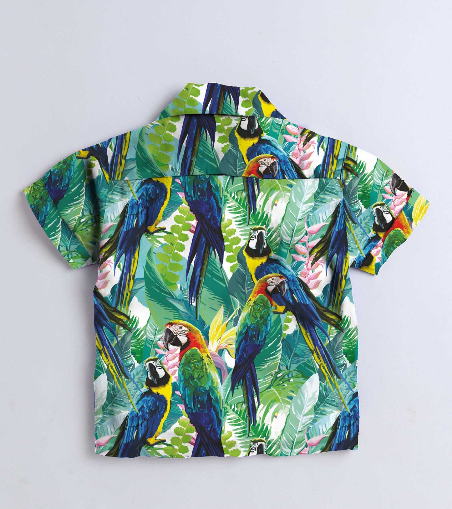Green Parrot Printed Boys Co ord Set