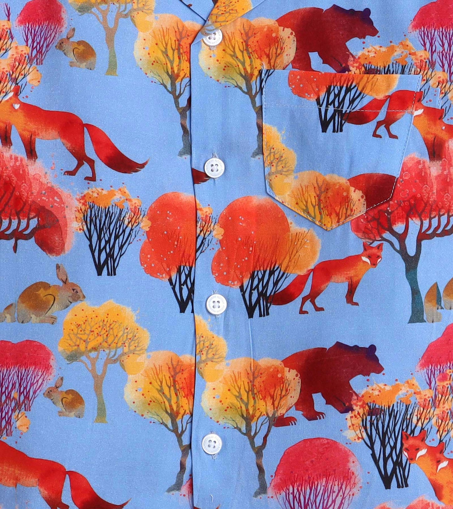 Sunset Wildlife Printed Boys Co ord Set