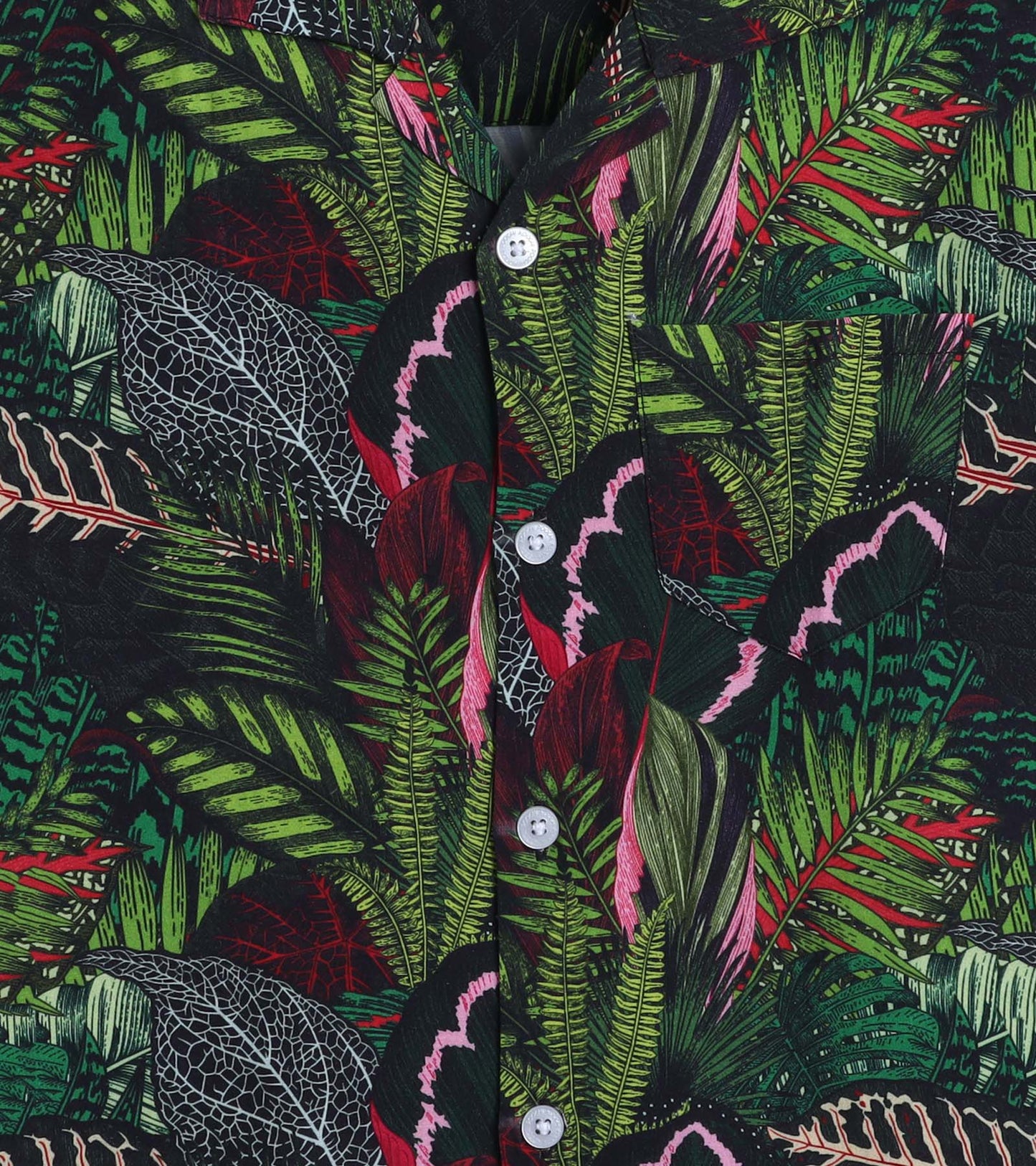 Wild Jungle Leaf Printed Boys Co ord Set