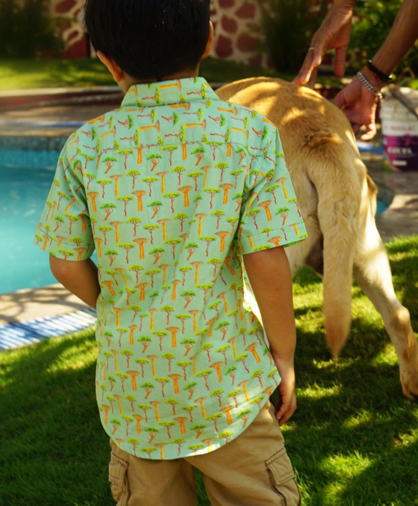 Tree Printed Half Sleeve Shirt - koochi Poochi