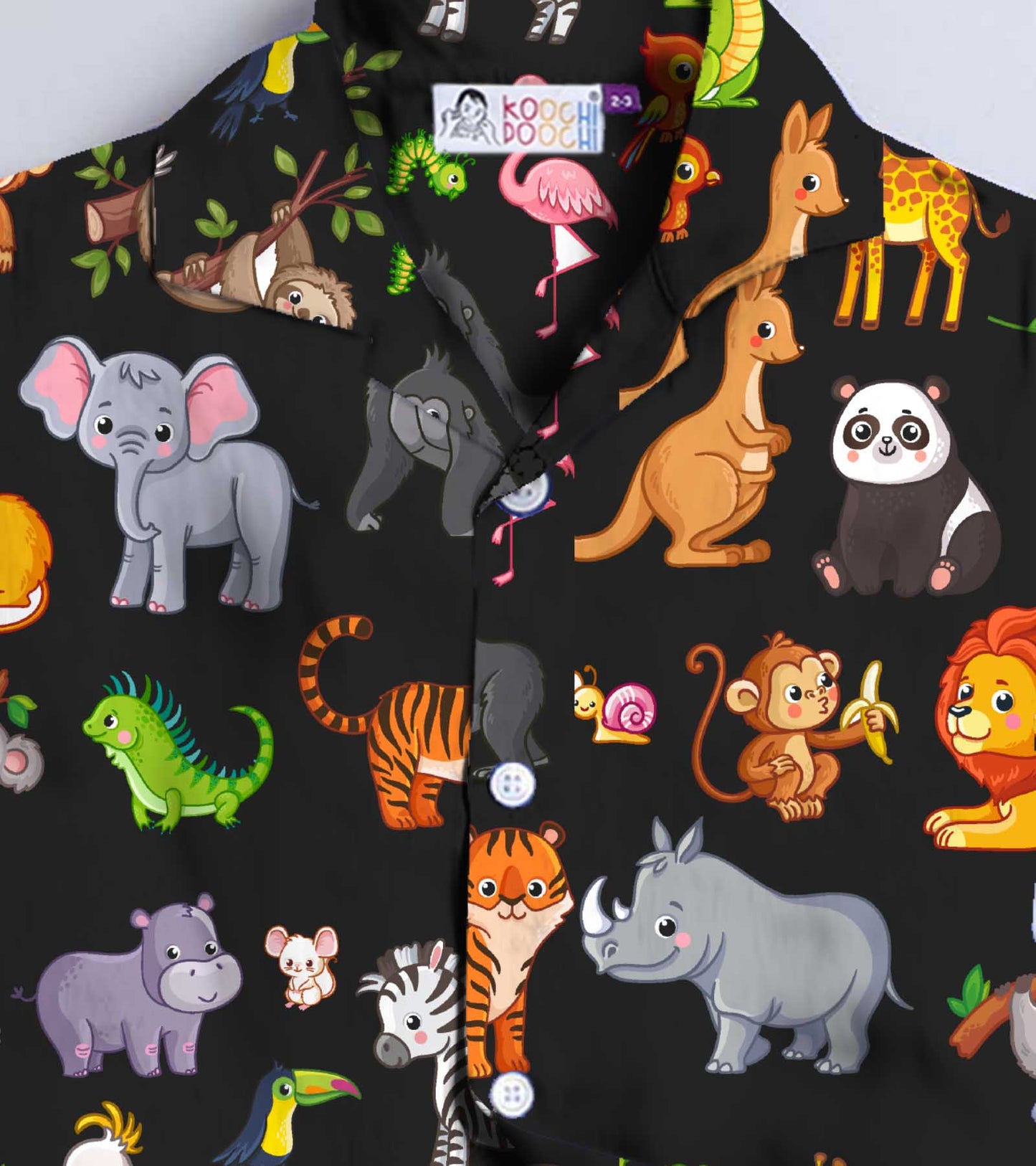 Zoo Printed Boys Co ord Set